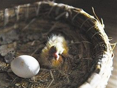 ���޻᳤�������˶��Ǿ�����(ͼ)