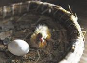 ���޻᳤�������˶��Ǿ�����(ͼ)