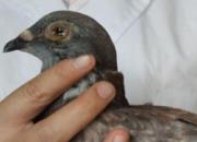 �۾��������᲻����(ͼ)