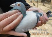 ���ҿ��ŵ�����ɽ���Ծ���ҵ(ͼ)