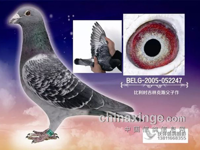 Ů�������Ӽǣ���ֻ��͵����(ͼ)
