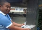 ������ڣ������ϳν�5�ظ����ھ�(ͼ)