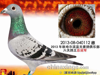 �������ܷ��֣�������������ھ�(ͼ)