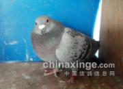 �ҵ�ǧ���ﵱ�չ�ھ�����(ͼ)