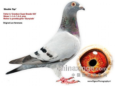 һ��ʧ��� һ����Ҳ����