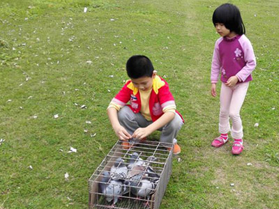 ����ʱ�� ̤��ѵ��(ͼ)