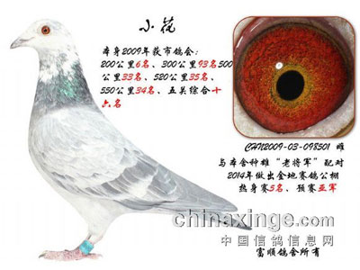 ��̨�����׸뿪�ҷֲ���