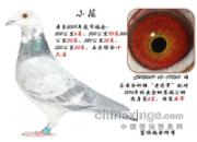 ��̨�����׸뿪�ҷֲ���
