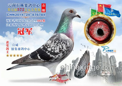 ��һ�Ҵ��������ǰʮ�񽱸�����(ͼ)