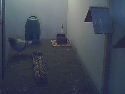 ���������������������