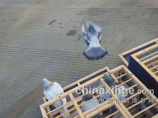 �ۣ��ϰ�ǰ����35����˽ѵ(ͼ)