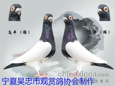 ���ҹ��͸��״����ࣺ5��2�վٰ�չʾ��(ͼ)