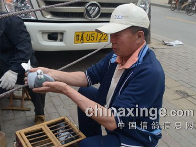 �ɰ�һ˲��˾���ܹؼ�(ͼ)