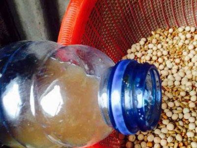 ������ʤ�ķ������������ݴ�