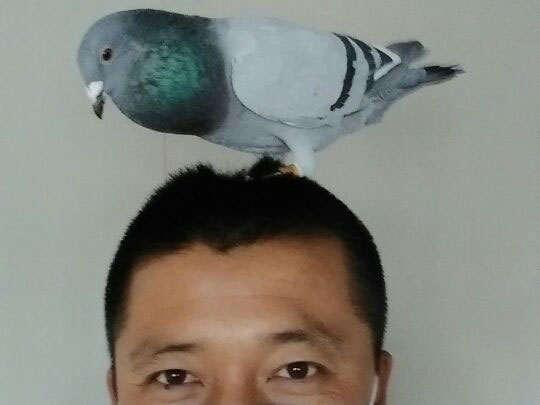 ��ѩ�ָ��� ��Ϊ������(ͼ)