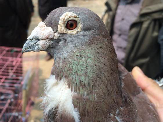 �䱱������ Ѱ���̸���(ͼ)