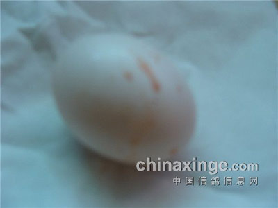 ���δƸ����Ѫ��(ͼ)