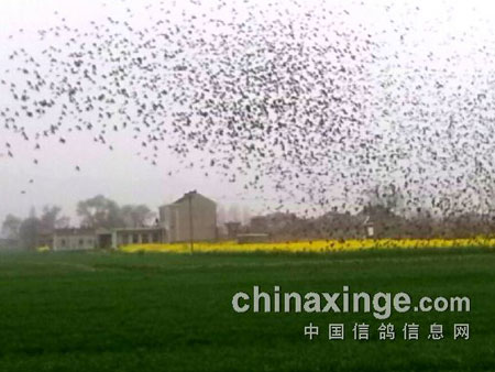 ��ۣ����������ۼ�(ͼ)