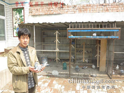 ���з������������ý������»�(ͼ)