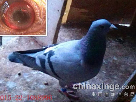 �������׸��400�������(ͼ)