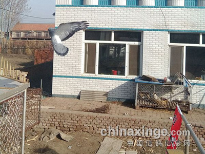 ϲ�ã��׸��һ�μҷ�(ͼ)