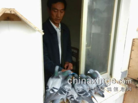 ��̨���ᾫ���� �г�����Ի�(ͼ)