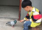 �˸��г��С�޻����׶���(ͼ)