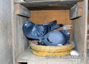 ĸ�������� ����һ����(ͼ)