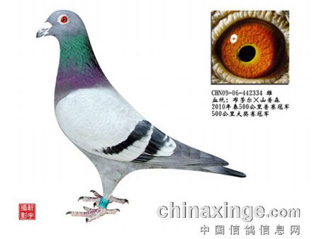 ���ˡ�֣�硱�����˾͵��ͺø�(ͼ)