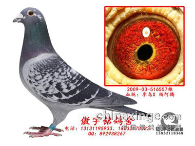 ��������ʧ����������˼