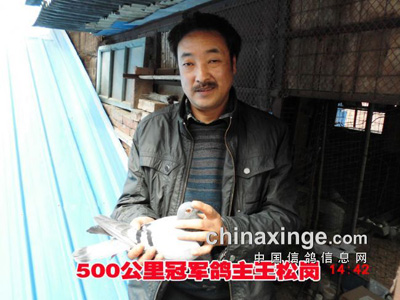 �Ͻ��������� ������ʮ����(ͼ)