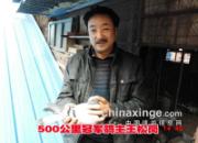 �Ͻ��������� ������ʮ����(ͼ)