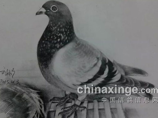 �������ԡ����롱(ͼ)