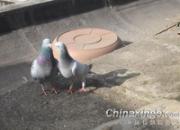 �������ģ�̸��˵������ʱ��(ͼ)