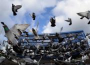 ���ٳ�1600 �����ɱ�������