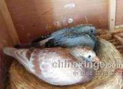 ���޿������� Ψ�г���Ϊ����(ͼ)