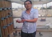 �߷úӱ�����������ֿ׷���(ͼ)