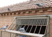 ����Ƹ룺����δѵֱ�Ϲ���������