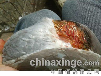 �����һ������(ͼ)