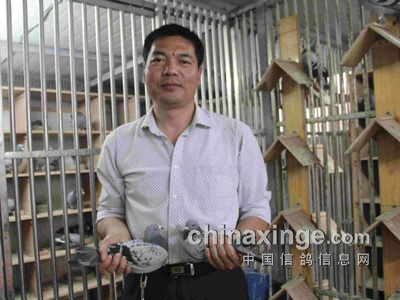 �����������ֲ������ھ���ӵ��(ͼ)