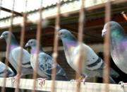 �������ö����������̸���˺ͼ���