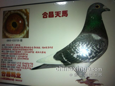 ����˵�룺��Ǯ����ȴû��ɫ