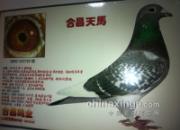 ����˵�룺��Ǯ����ȴû��ɫ