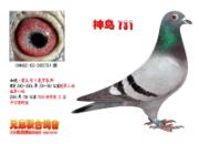 ��Զ��ʹ������롰����731(ͼ)