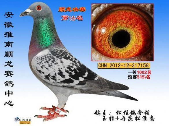 �ٶ�����һ���ָ���������λ(ͼ)
