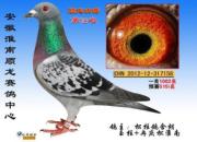 �ٶ�����һ���ָ���������λ(ͼ)