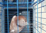 ����ǰ���׸��� ����ô����(ͼ)