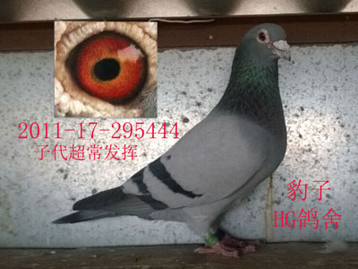 Ϊʲô�ø����������׶���