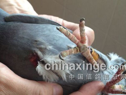 ��;���ն� ����������(ͼ)