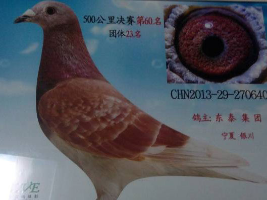 �����ҹ������֮����ţѧ��(ͼ)